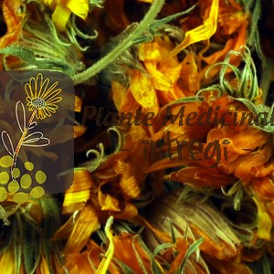 CEAI GALBENELE FLORI 15gr.