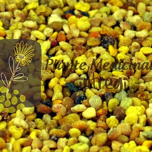 POLEN BIO 50gr.