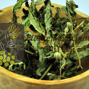 ceai_menta_closeup