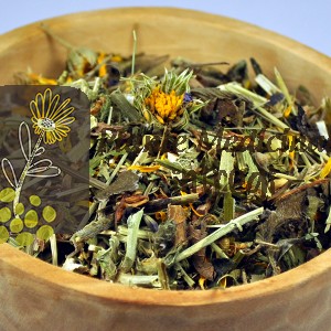 CEAI UTEROTONIC 50gr.