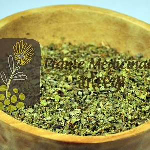 CEAI MAGHIRAN 20gr.