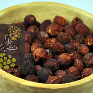 CEAI PADUCEL FRUCTE 50gr.