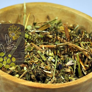 CEAI PROSTATA 50gr.