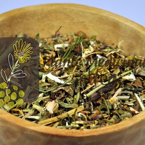 CEAI PANCREAS 50gr.