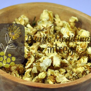 CEAI IASOMIE 20gr.