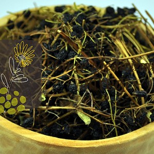 SOC FRUCTE 35gr.