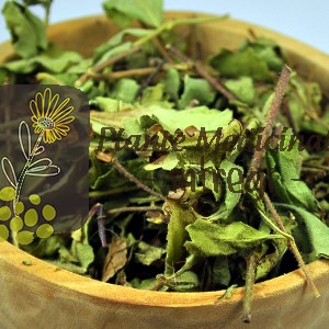 CEAI VENTRILICA 20gr.