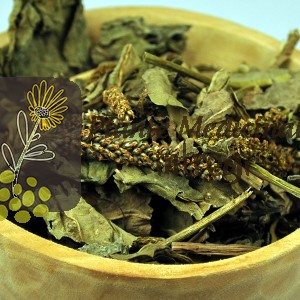 CEAI PATLAGINA FRUNZE 20gr.