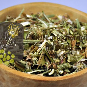 CEAI CICOARE 30gr.
