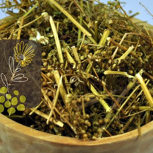 CEAI ROSMARIN 20gr.
