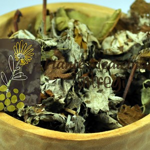 CEAI ZMEUR FRUNZE 20gr.