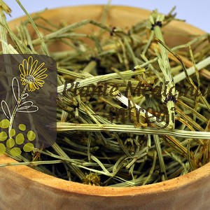 CEAI COADA CALULUI 20gr.