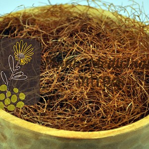 CEAI PORUMB MATASE 20gr.