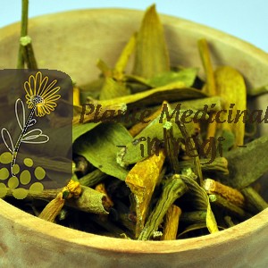 CEAI VASC 50gr.