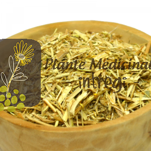 CEAI GRINDELIA 30gr.