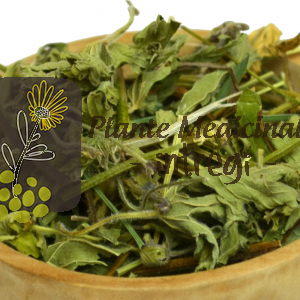 CEAI NAPRAZNIC 20gr.