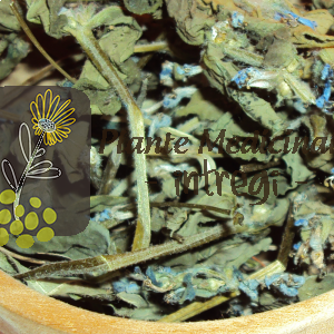 CEAI VINERITA 15gr.