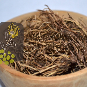 CEAI CIUBOTICA CUCULUI RADACINA 20gr.