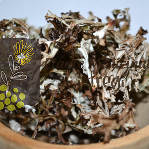 CEAI LICHEN MUSCHI PIATRA 20gr.