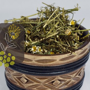 MUSETEL BAIE 20gr.
