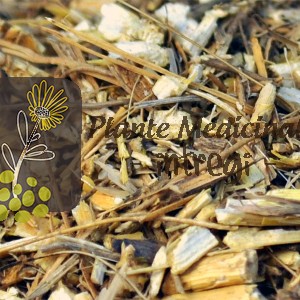 PIR RADACINI 20gr.