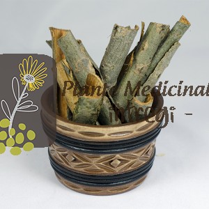 CEAI SALCIE SCOARTA 35gr.
