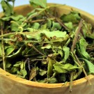CEAI VENTRILICA 20gr.