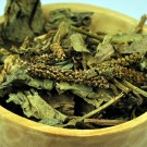 CEAI PATLAGINA FRUNZE 20gr.