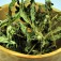 ceai_menta_closeup